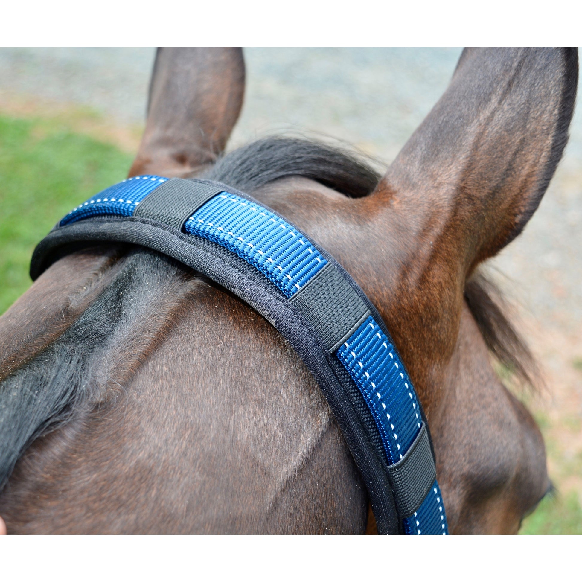Stubben Reflective Stable Halter