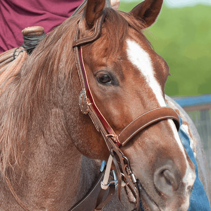 Martin Saddlery Rope Noseband Leather Covered