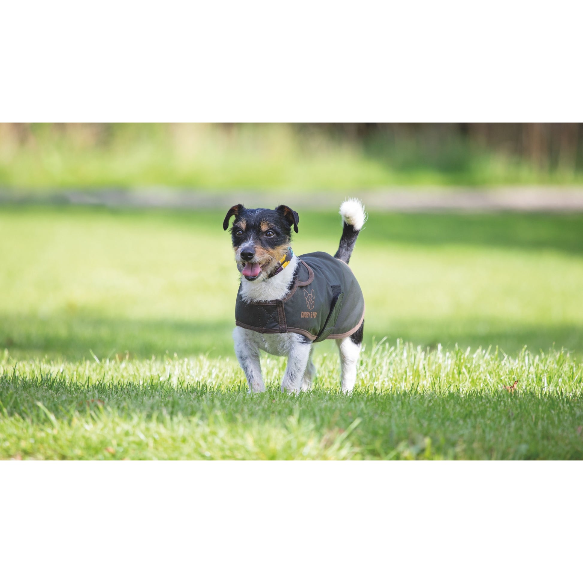 Shires Digby & Fox Wax Coat