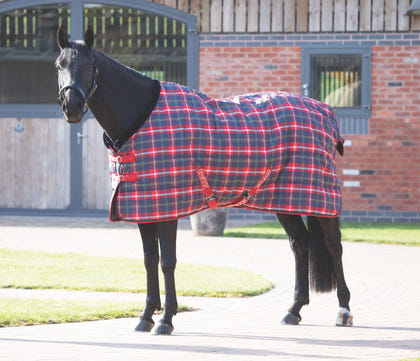 Shires Tempest Plus 200 Stable Blanket