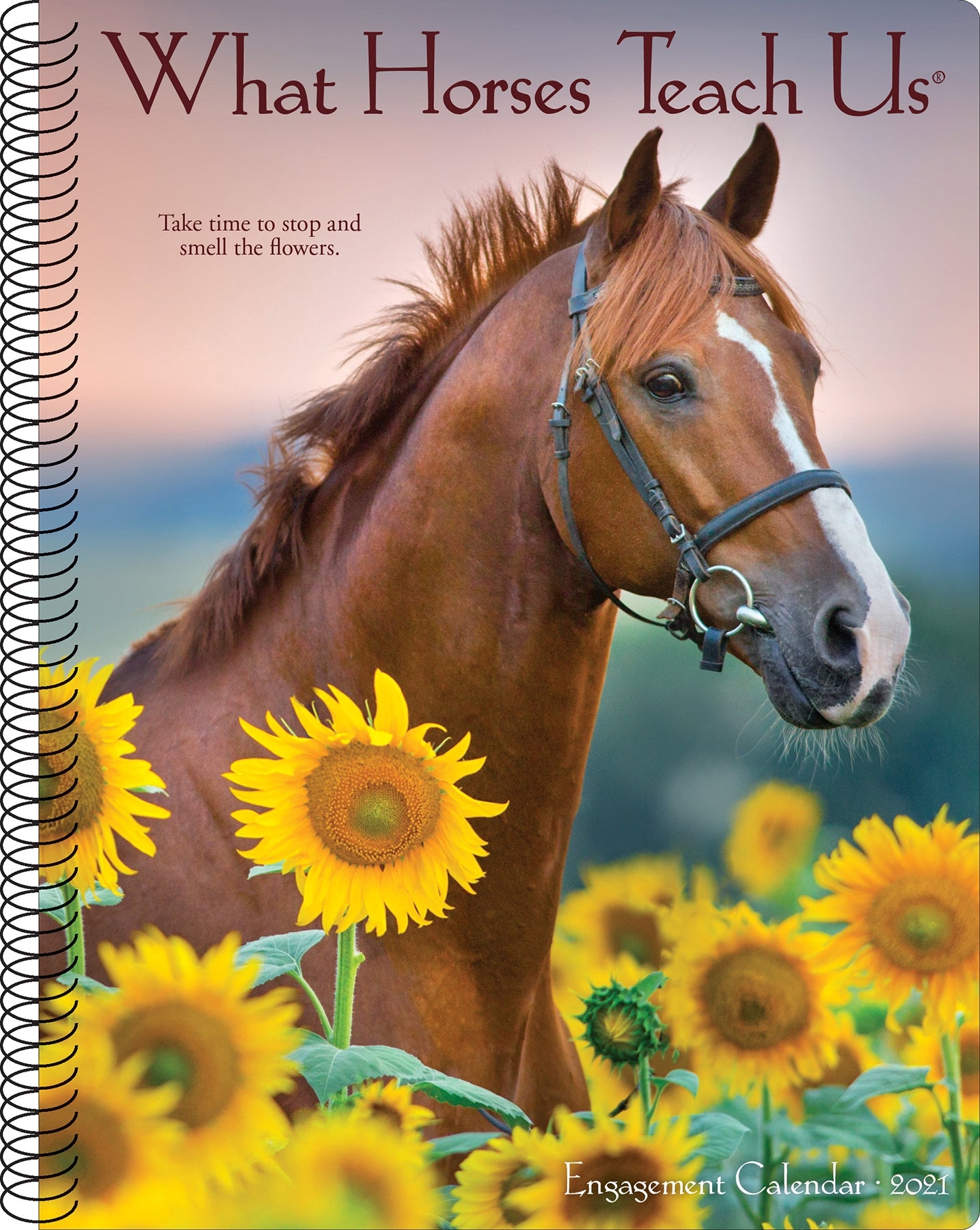 2021 What Horses Teach US Engagement 18 Month Calendar