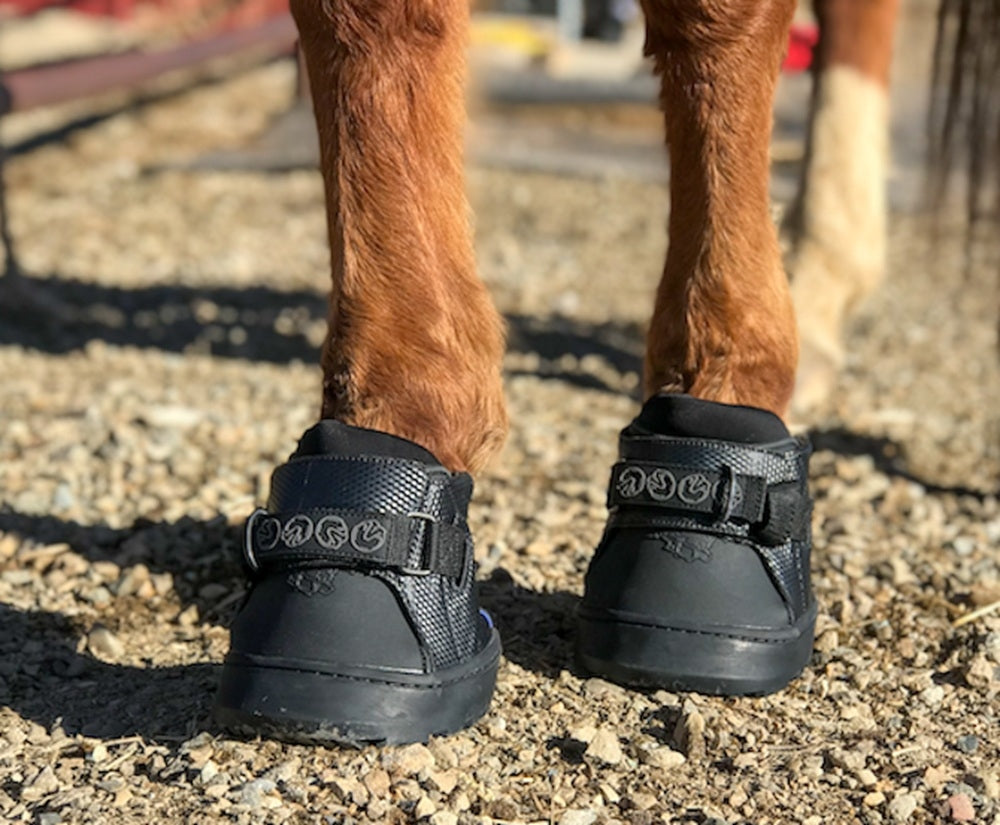 EasyCare Easyboot Sneaker - Single