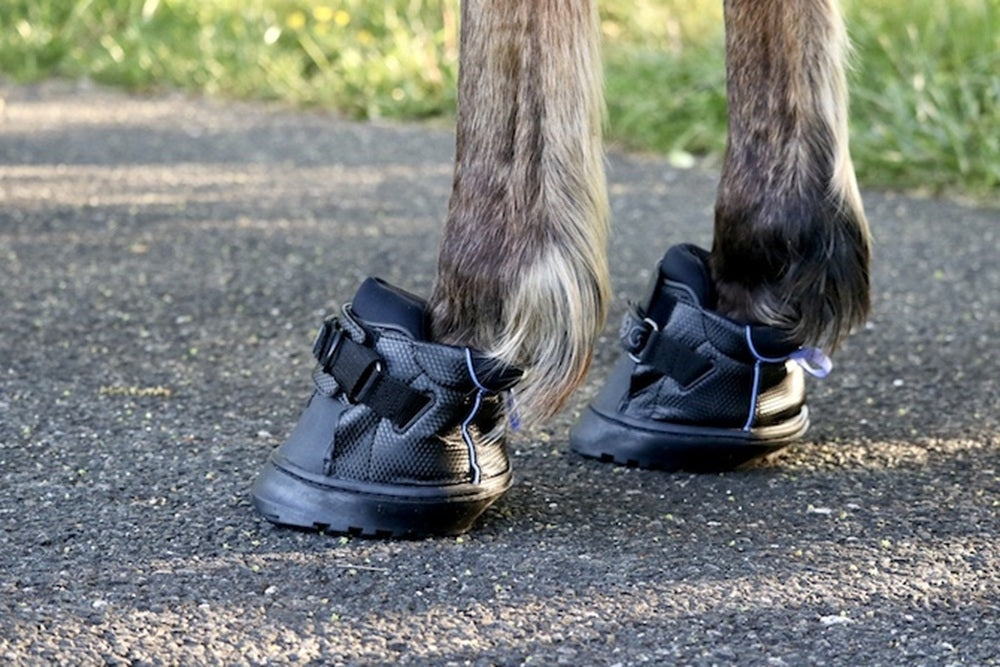 EasyCare Easyboot Sneaker - Single