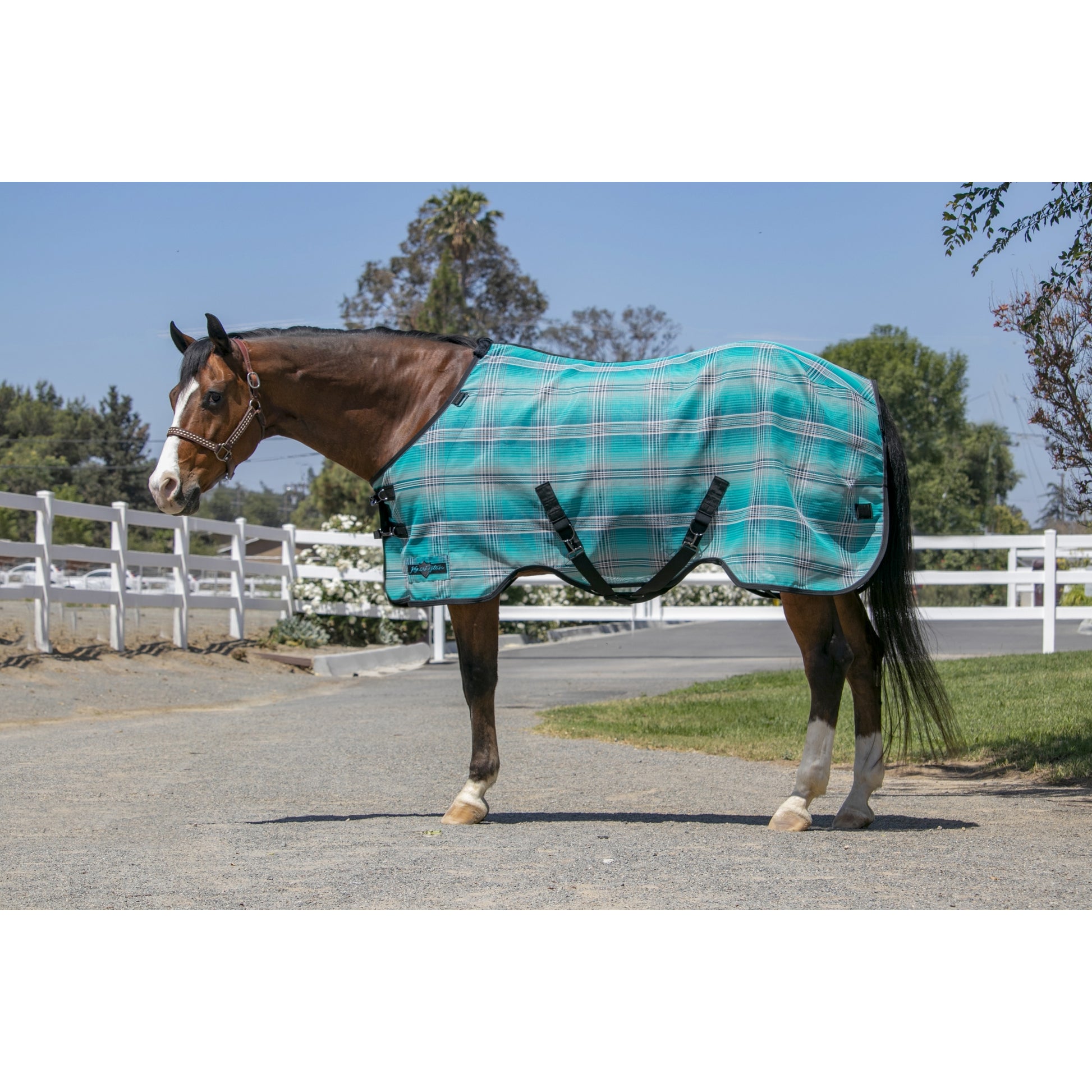 Kensington 73% UV Protective Fly Sheet