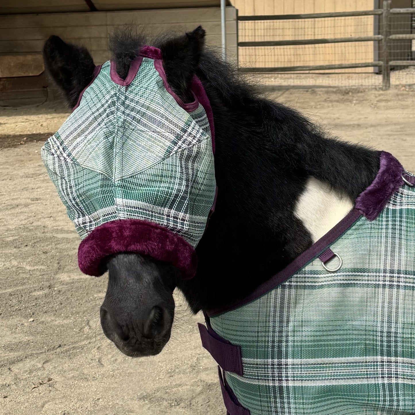 4-269791-01.jpg