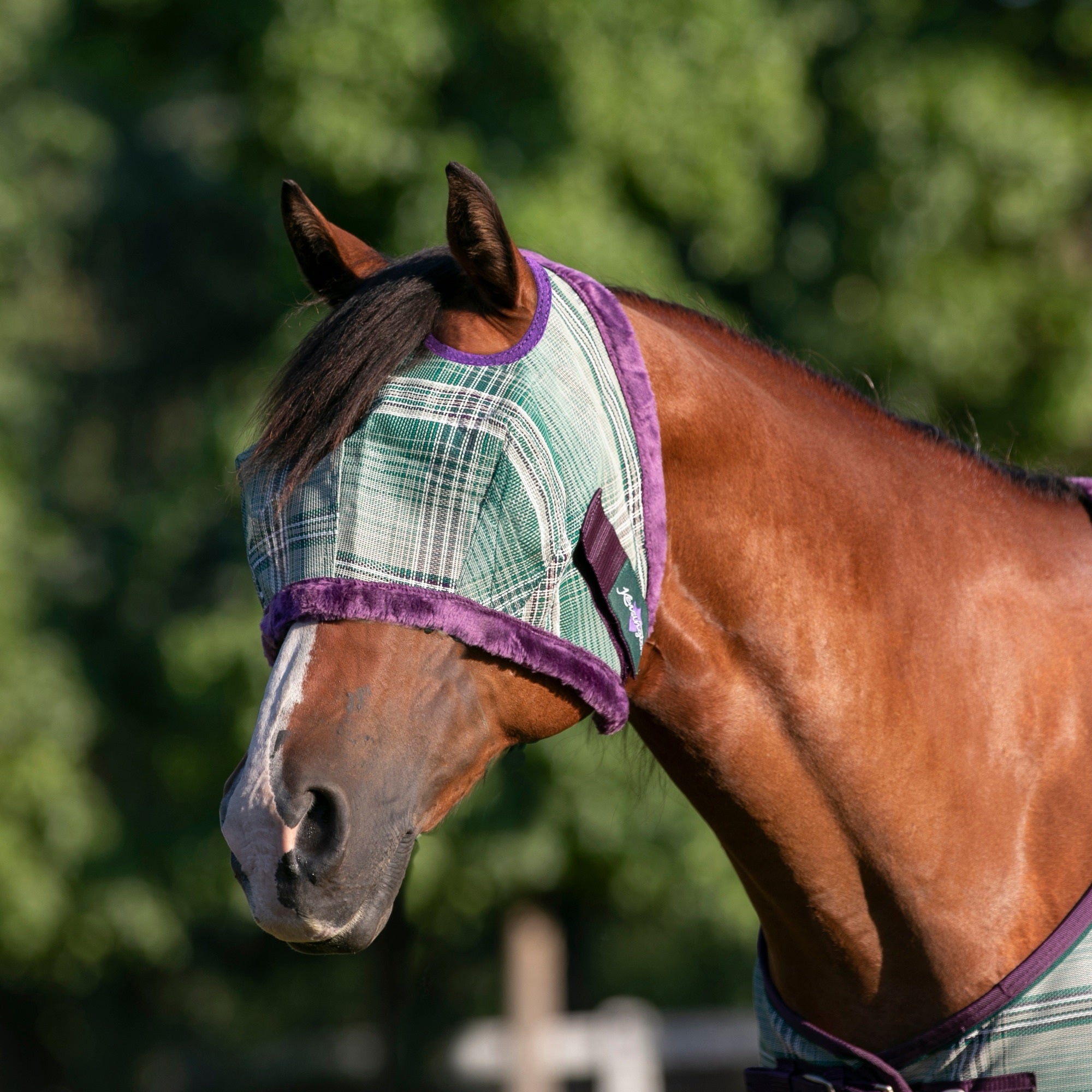 Kensington Fly Mask with Fleece Trim