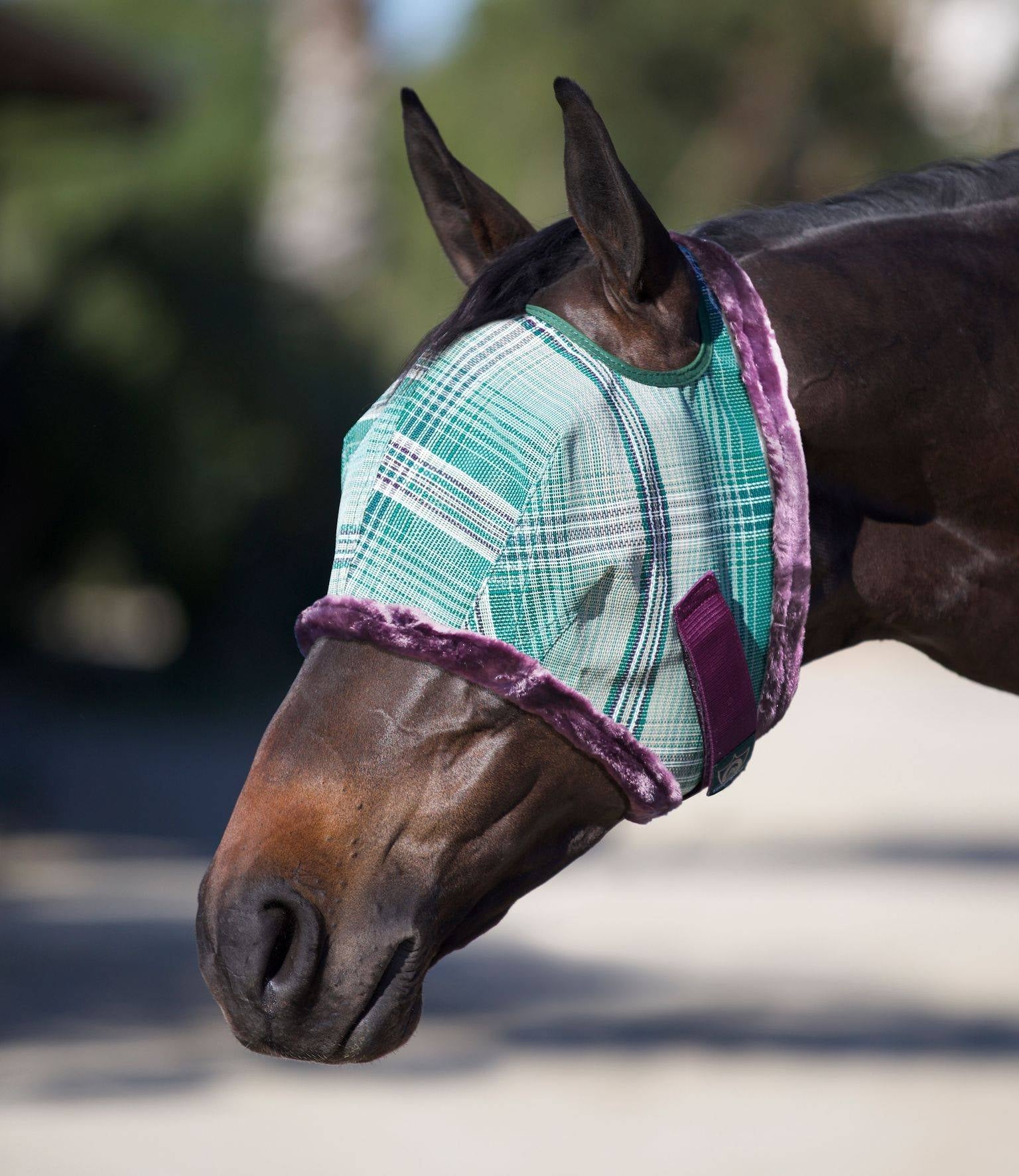 Kensington Fly Mask with Fleece Trim