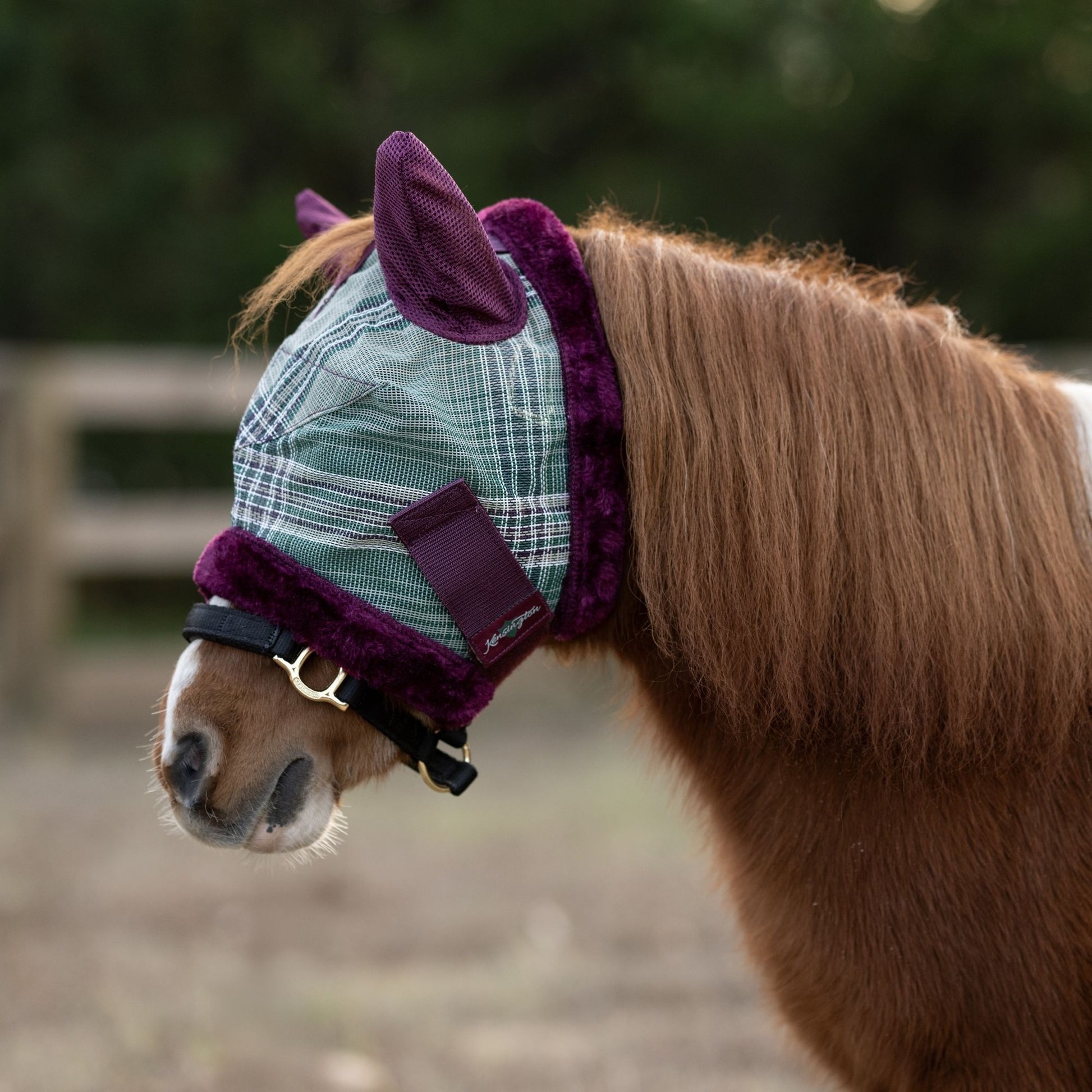 Kensington Miniature Signature Fly Mask with Plush Fl