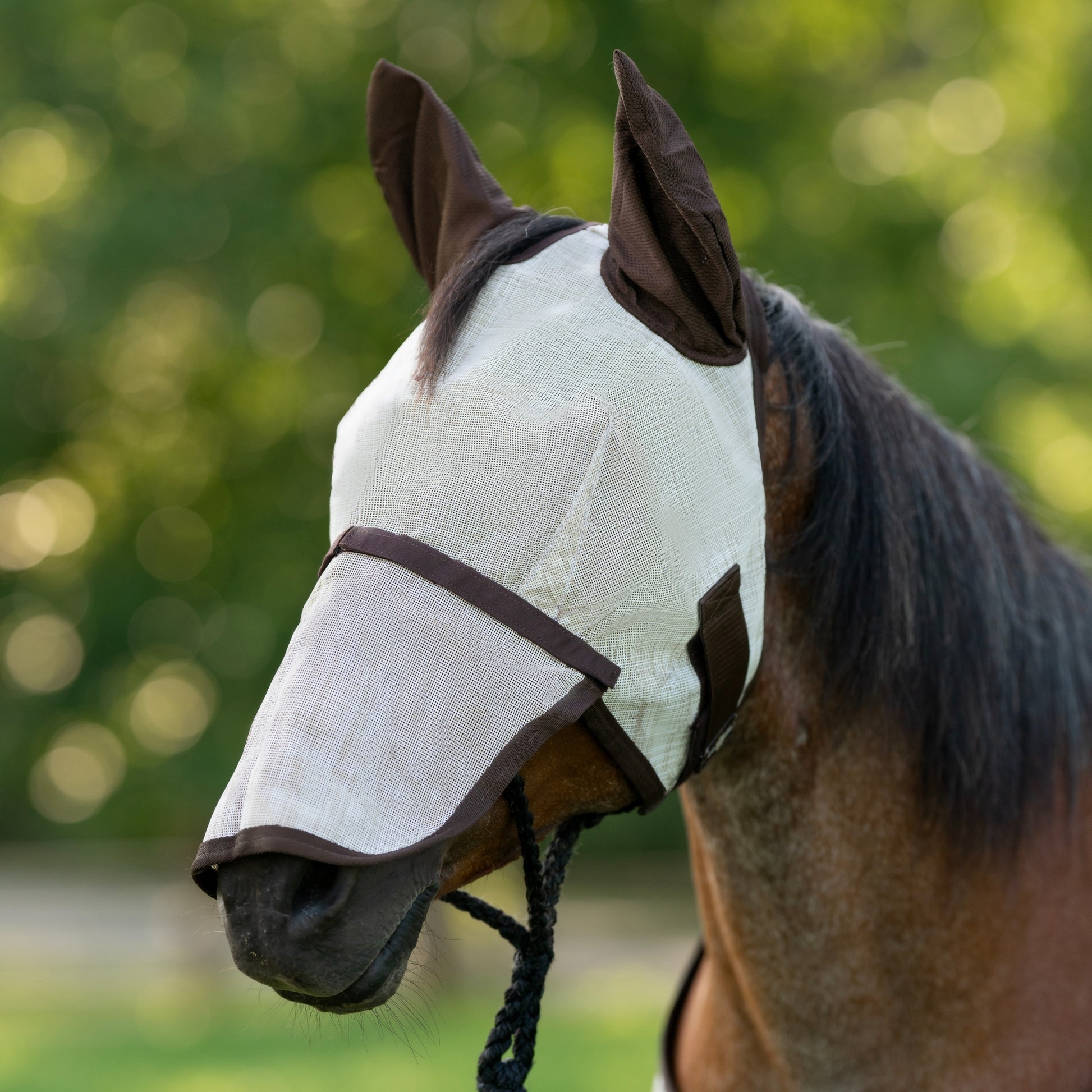 Kensington Mask with Nose and Ears
