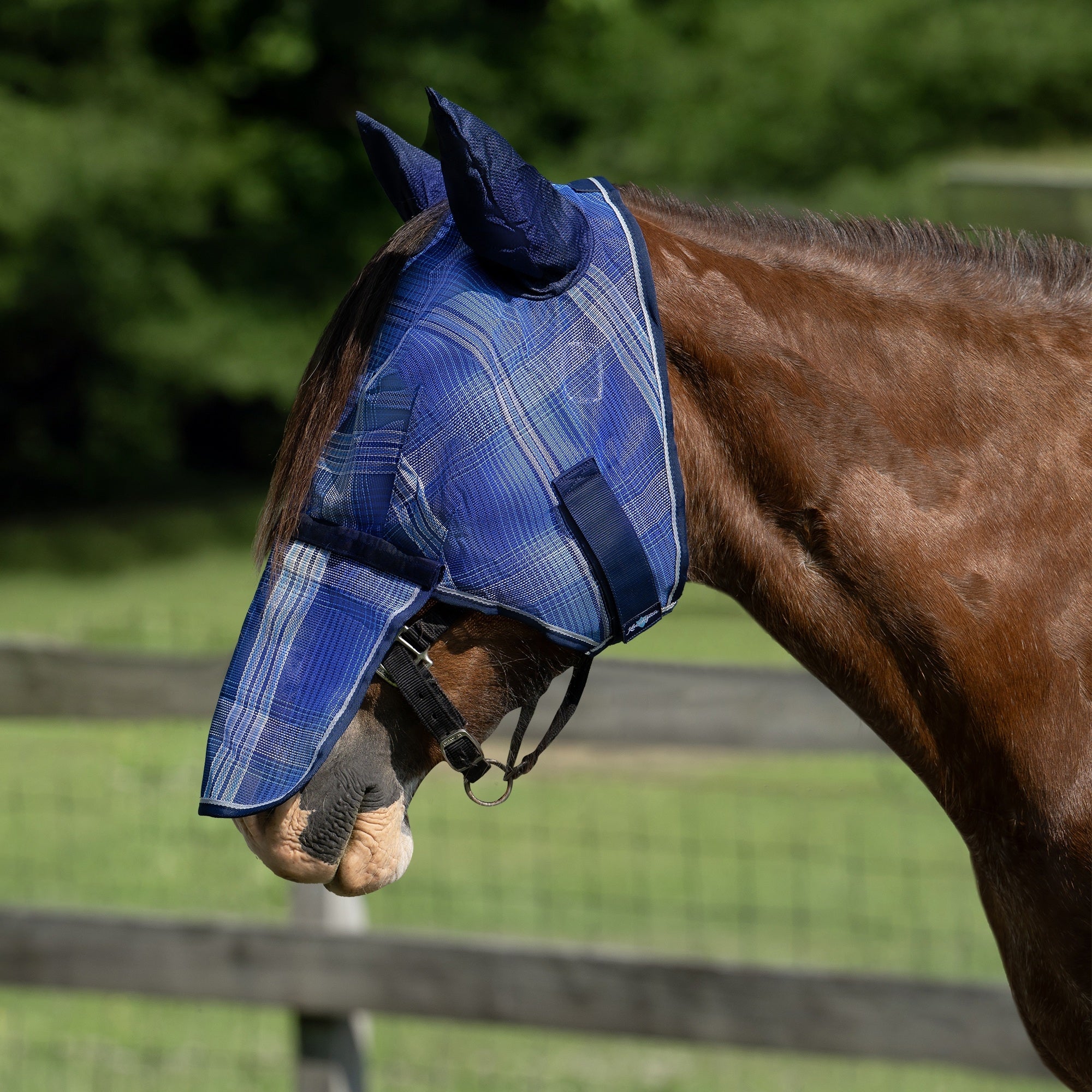 Kensington Mask with Nose and Ears