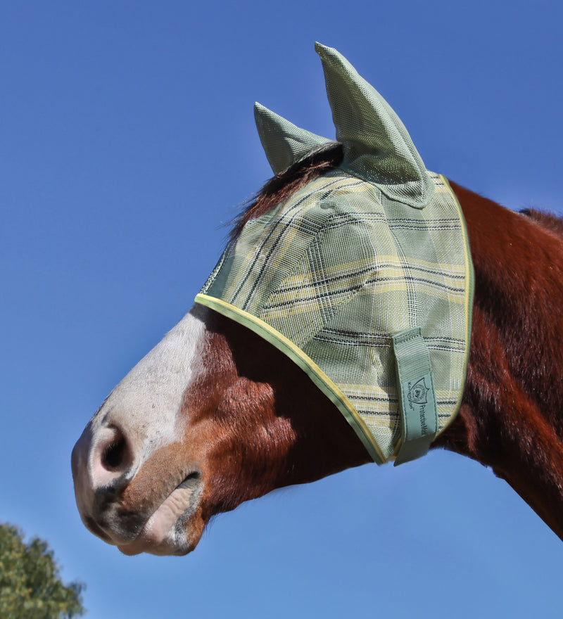 Kensington Fly Mask Web Trim/Ears