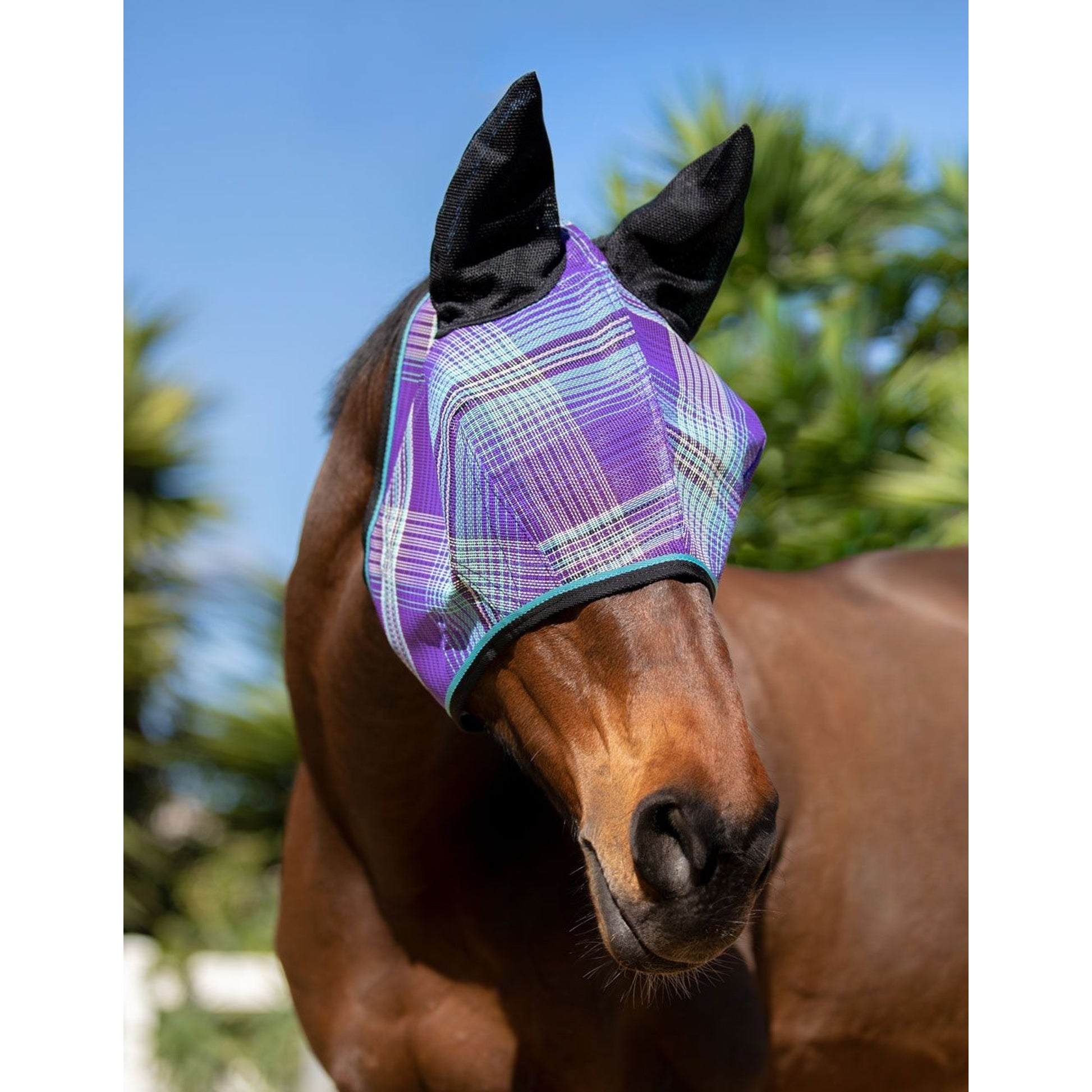 Kensington Fly Mask Web Trim/Ears