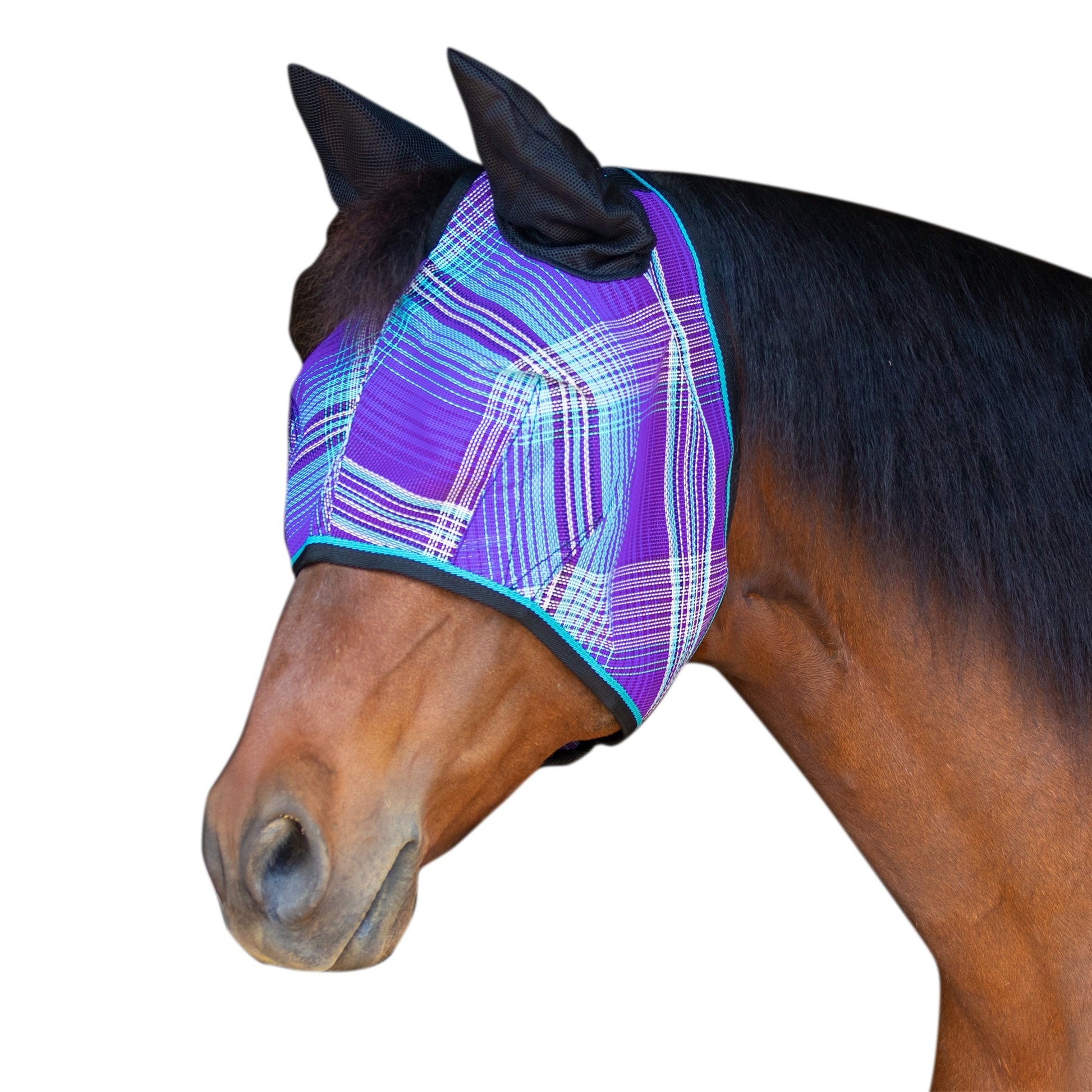 Kensington Fly Mask Web Trim/Ears