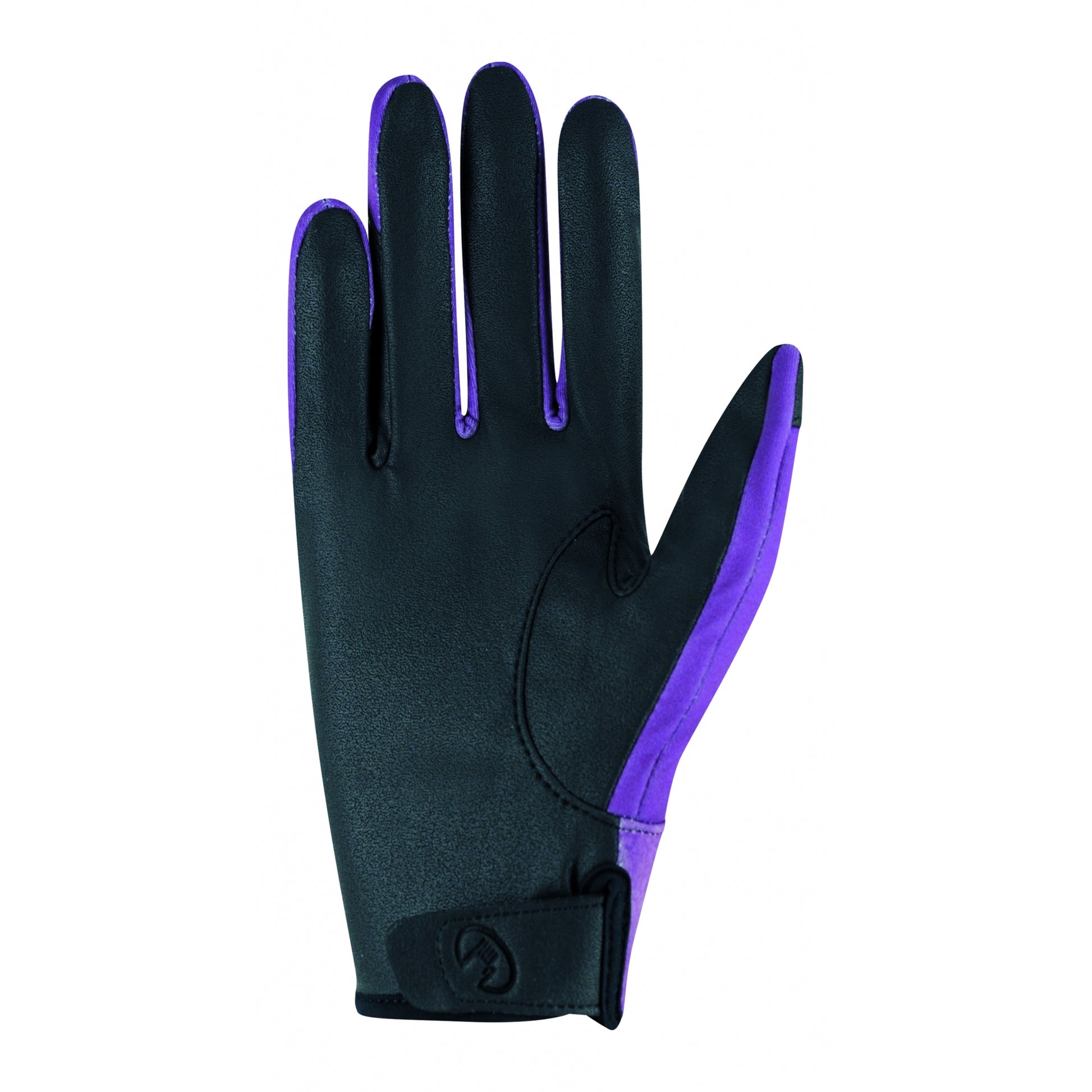 Roeckl Adult Wing Winter Gloves