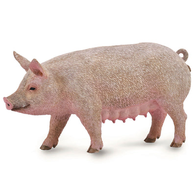 4-283803.jpg