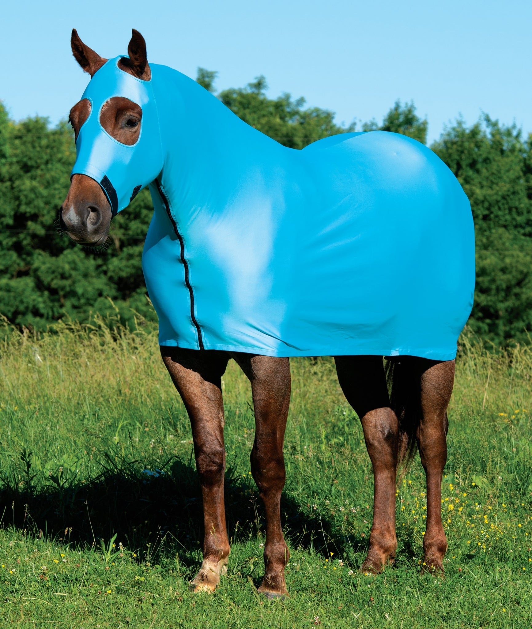 Weaver Equine Lycra Sheet Powered by Coolcore