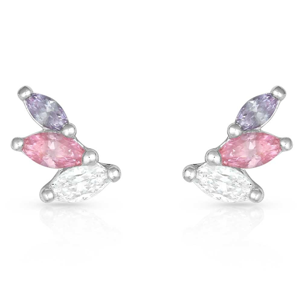 Montana Silversmiths Flared Cluster Wing Earrings