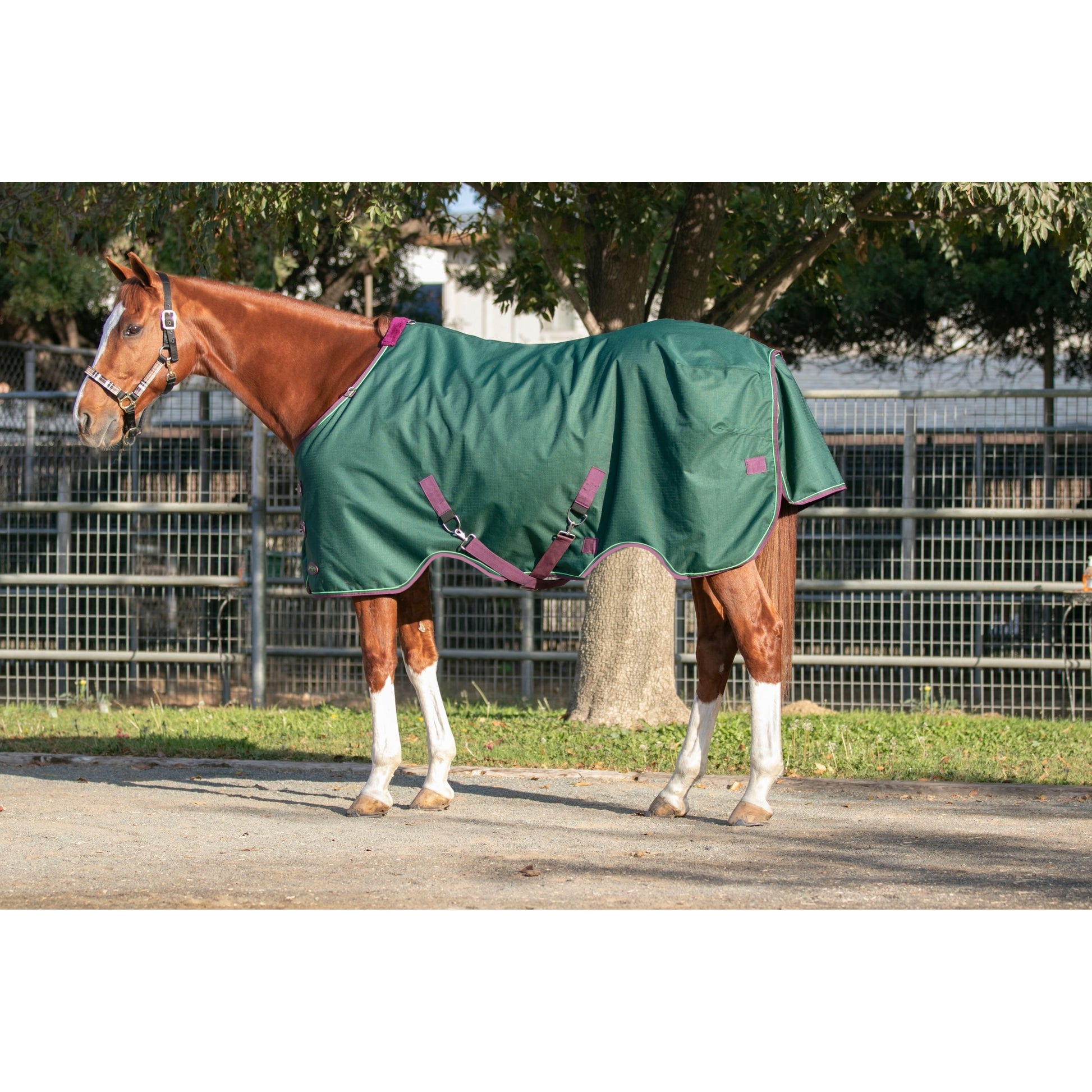 Kensington 1200D Turnout 180g