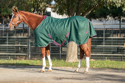 Kensington 1200D Turnout 300g