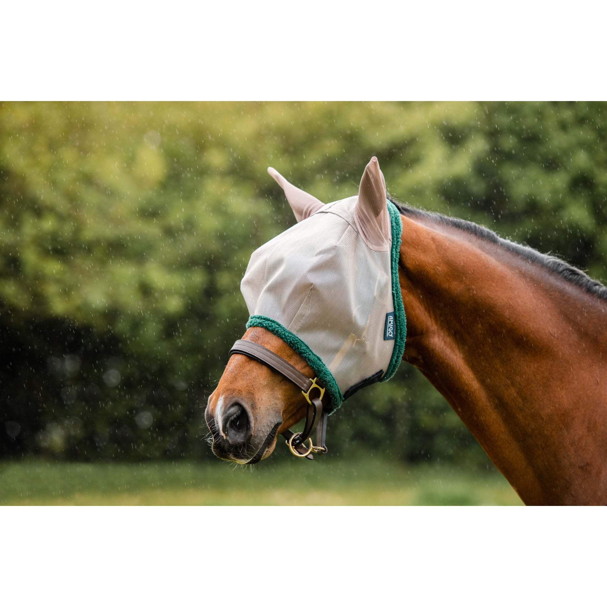 Rambo Flymask