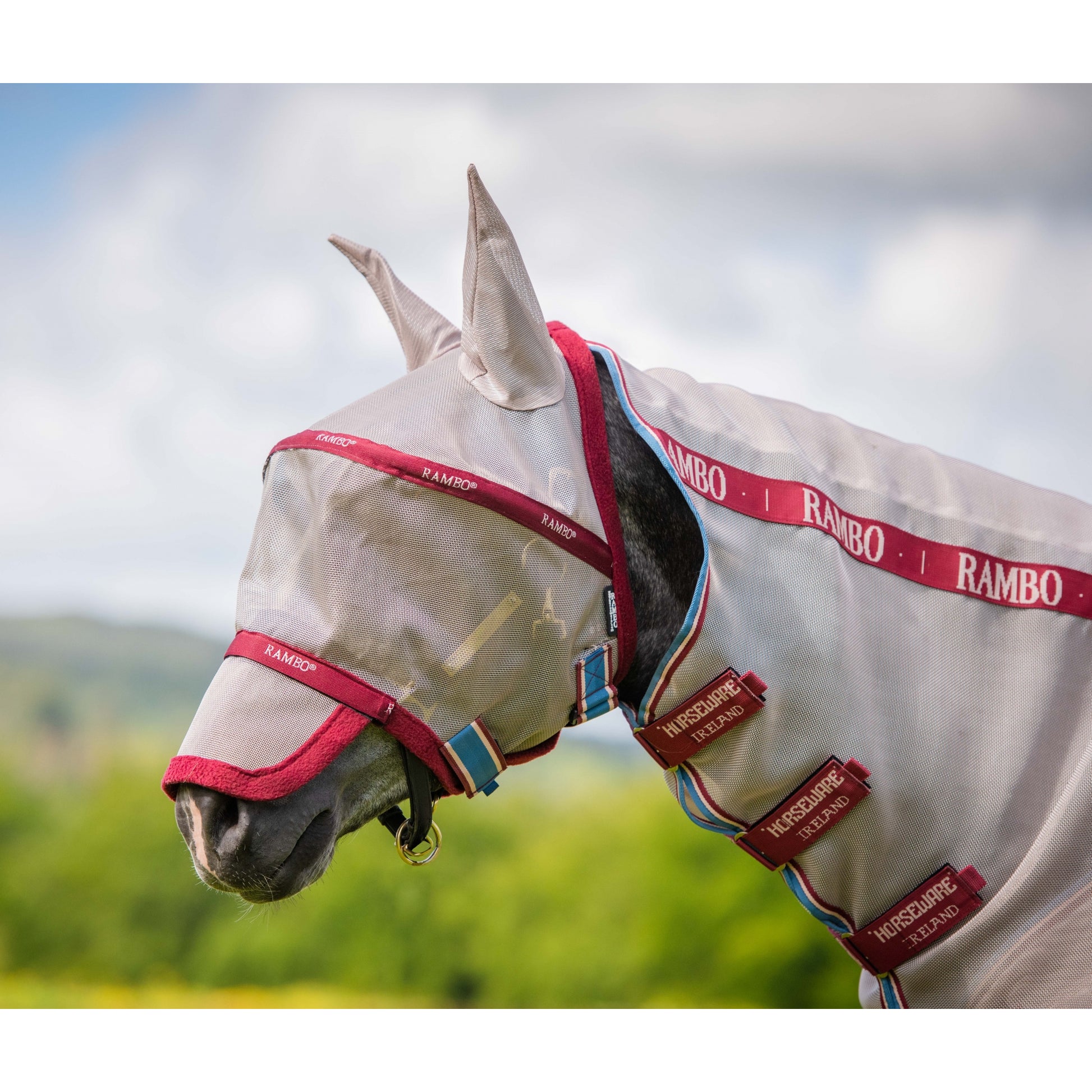 Rambo Flymask