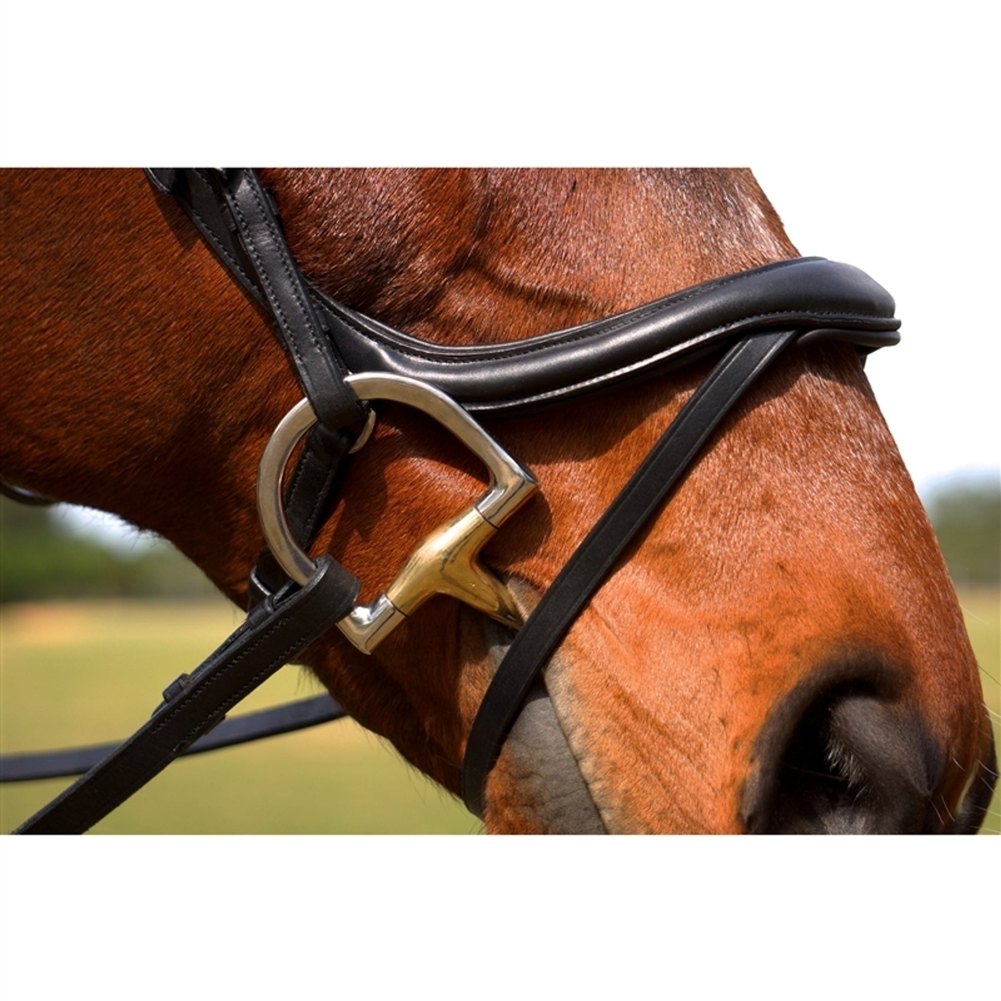 Nunn Finer Aforma Flash Bridle