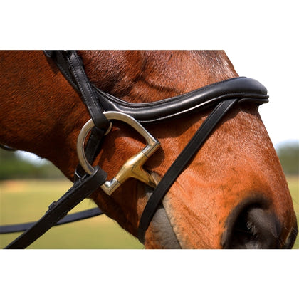 Nunn Finer Aforma Flash Bridle