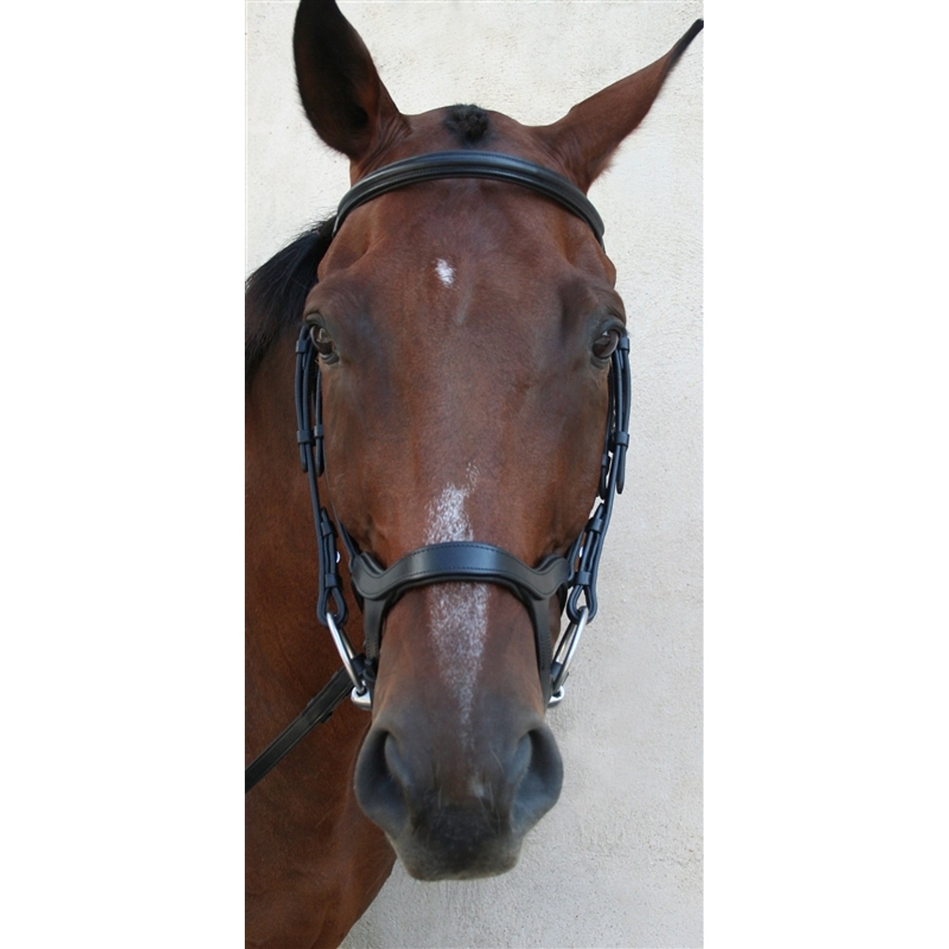 Nunn Finer Innovativo English Bridle with Rubber Reins