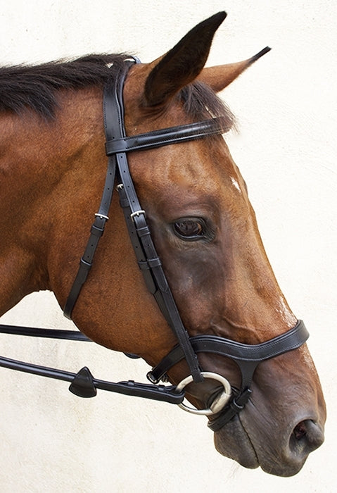 Nunn Finer Innovativo English Bridle with Rubber Reins
