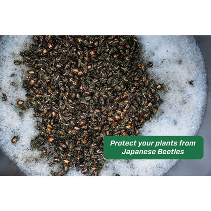 RESCUE! Japanese Beetle Trap Refill