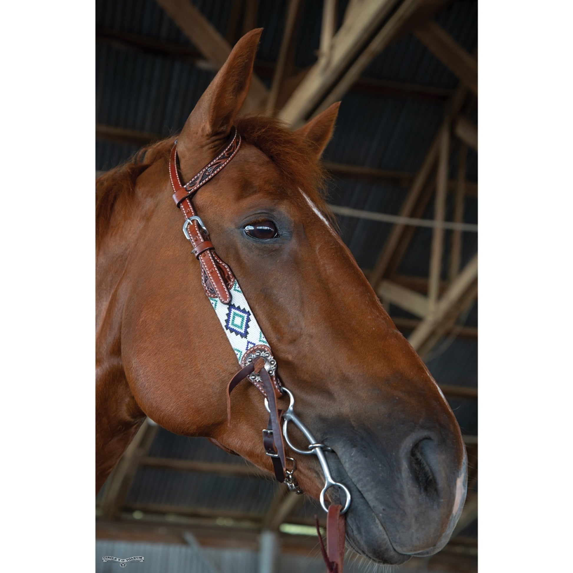 Circle Y Flat Infinity One Ear Headstall