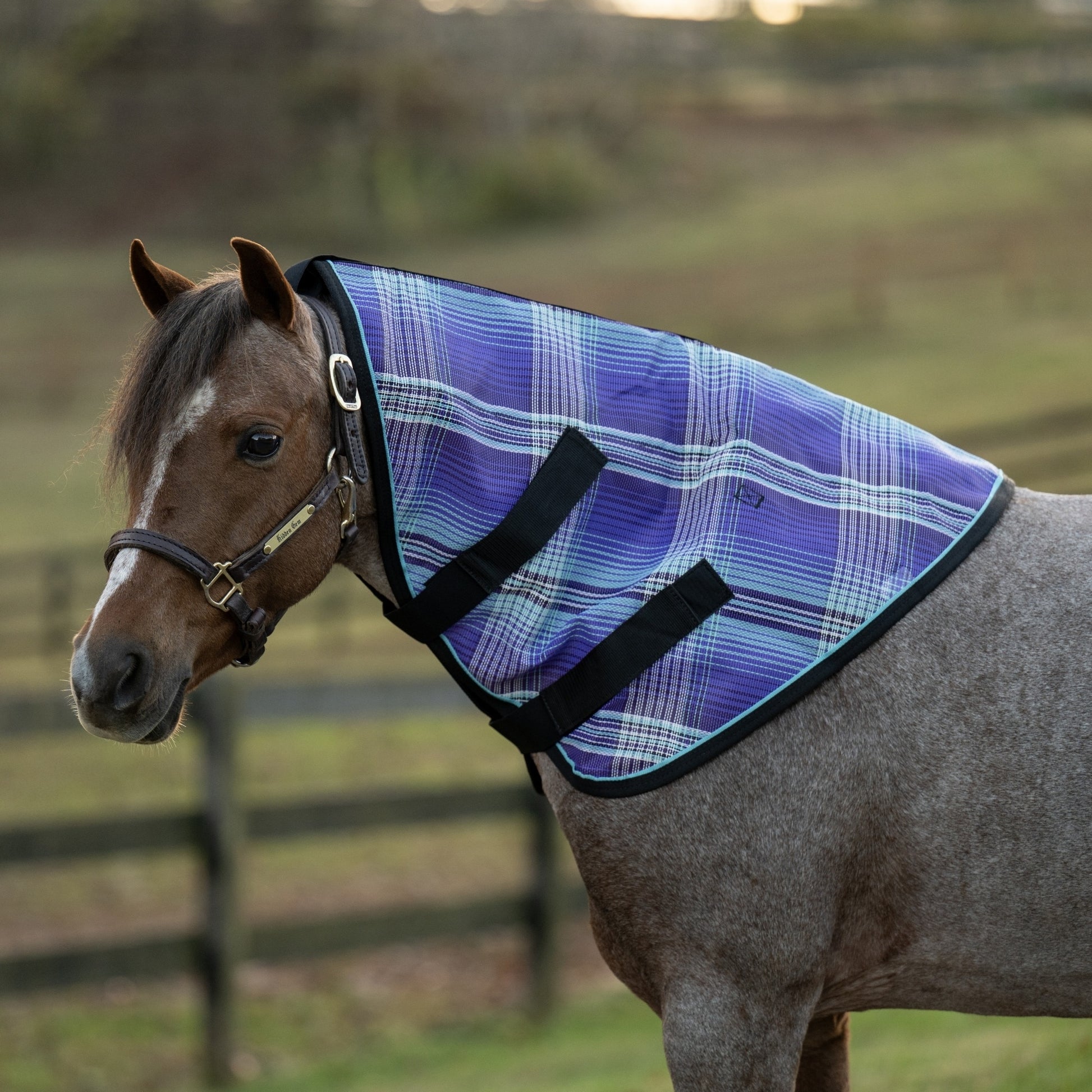 Kensington Pony Protective Neck Piece