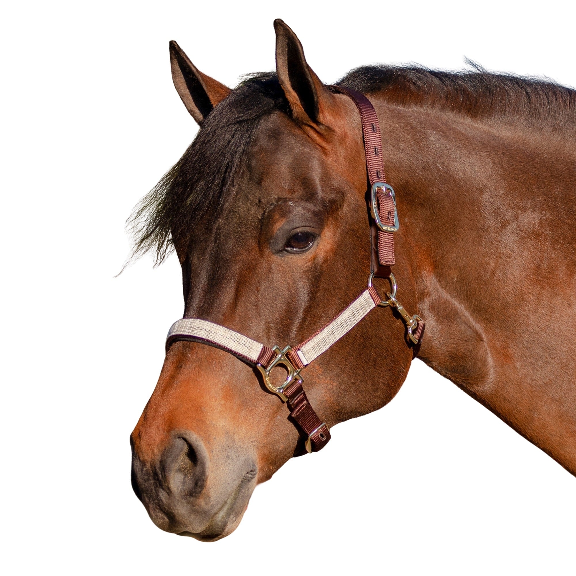 Kensington Breakaway Halter
