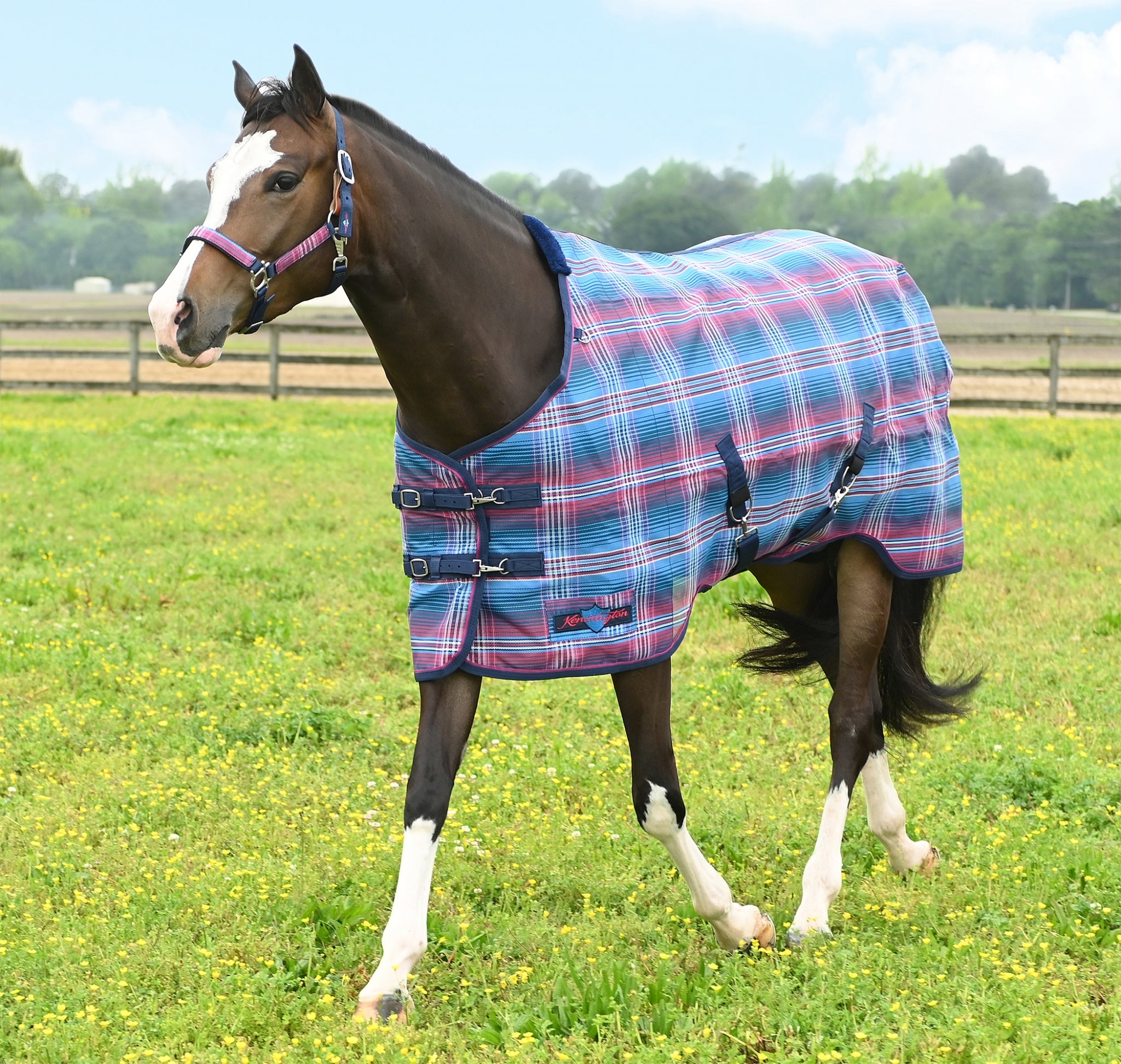 Kensington 73% UV Pony Protective Fly Sheet