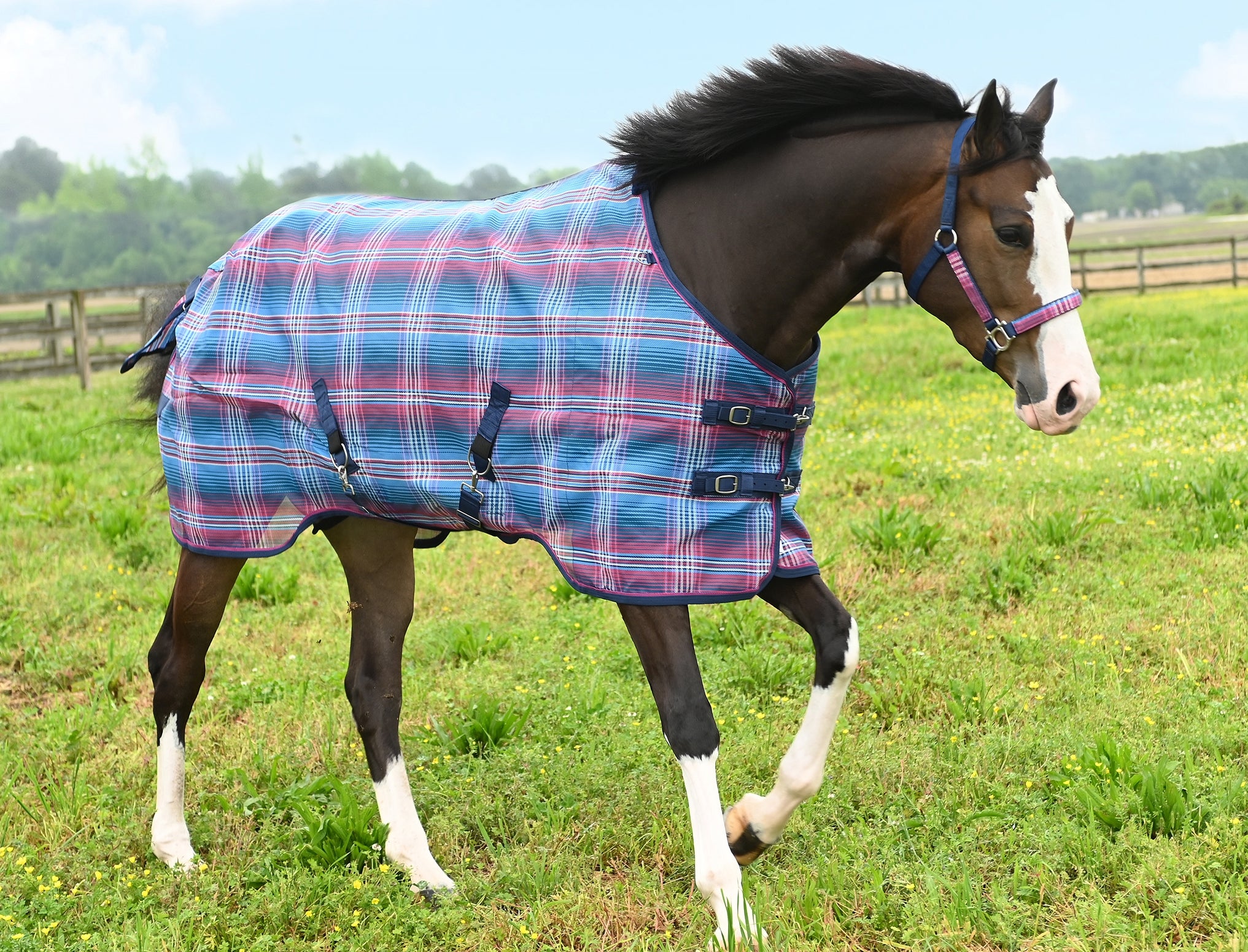 Kensington 73% UV Pony Protective Fly Sheet