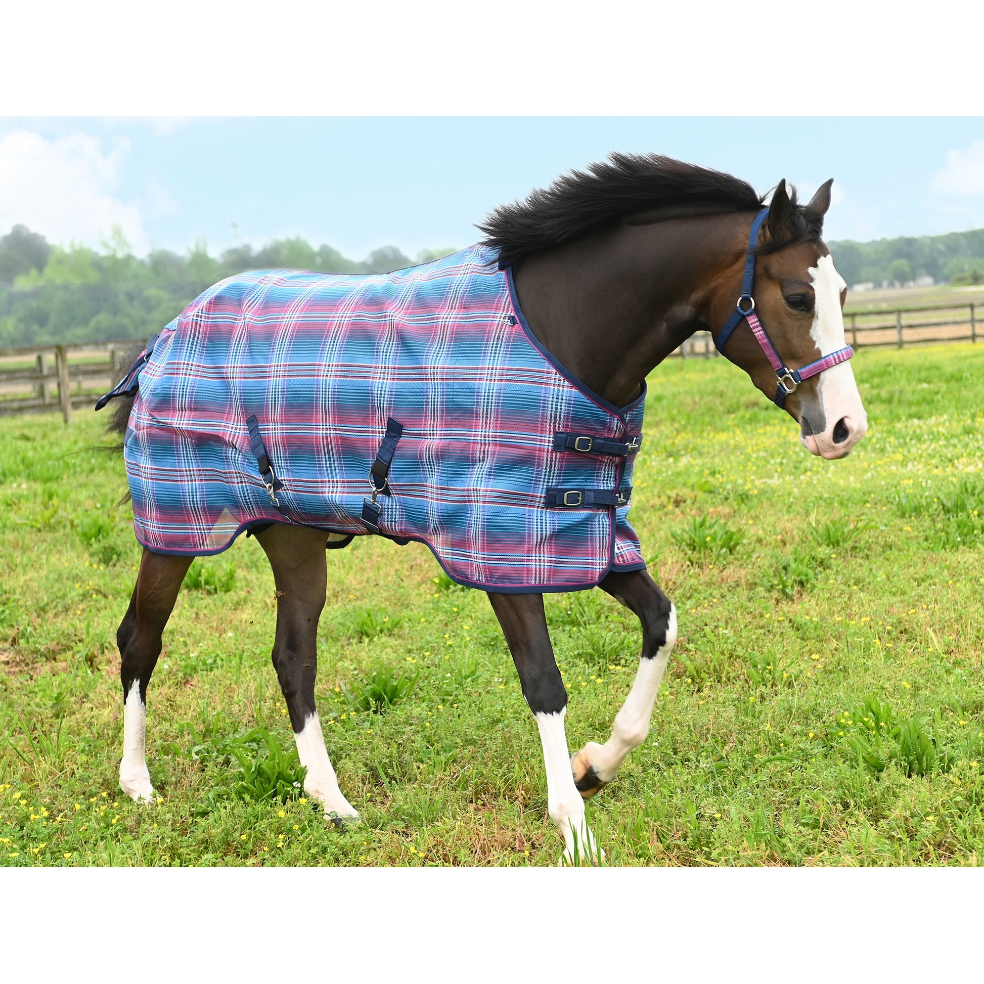 Kensington 73% UV Pony Protective Fly Sheet
