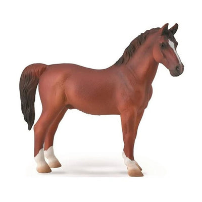 4-346111.jpg