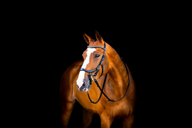 Horseware Micklem 2 Diamante Comp