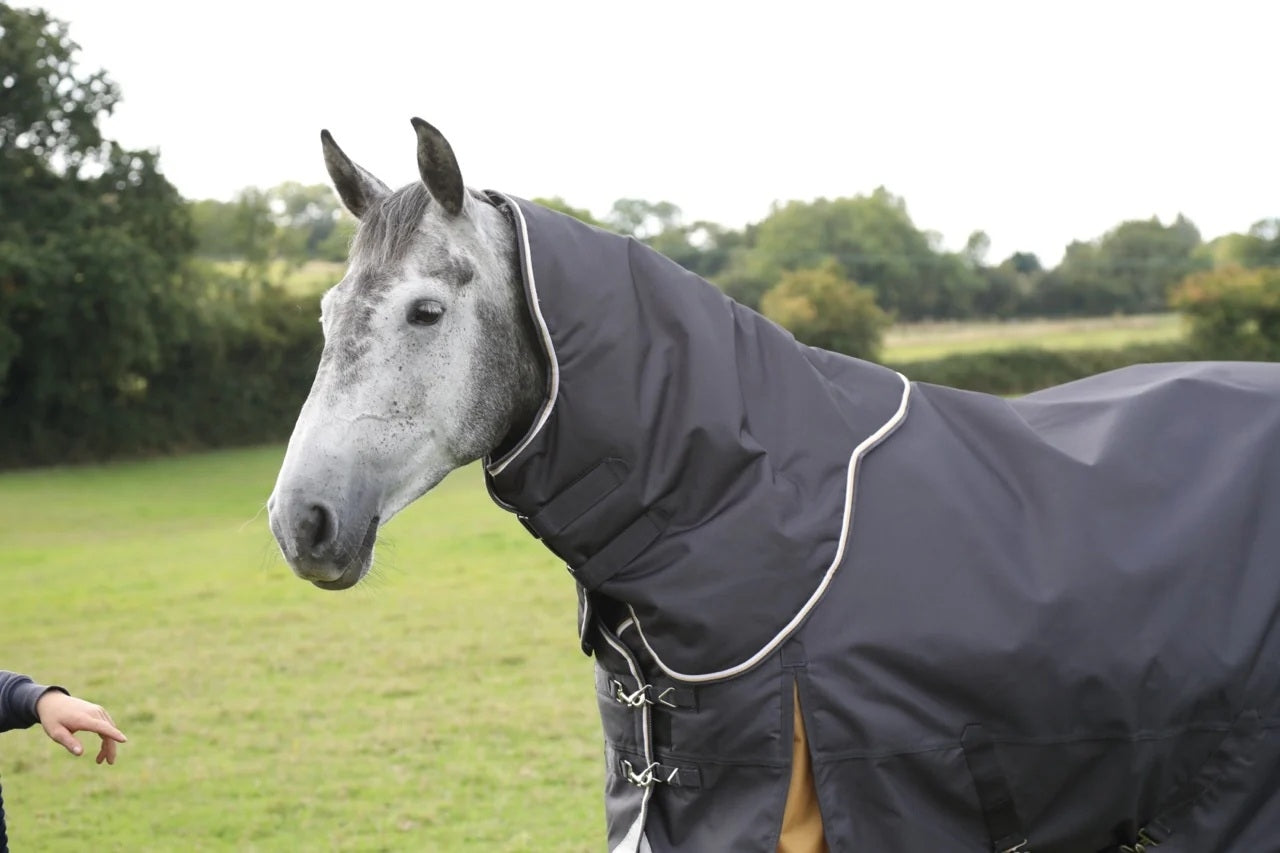 Highlander Plus 300g Hood