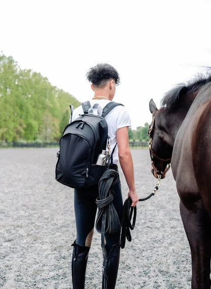 Veltri Delaire Large Backpack