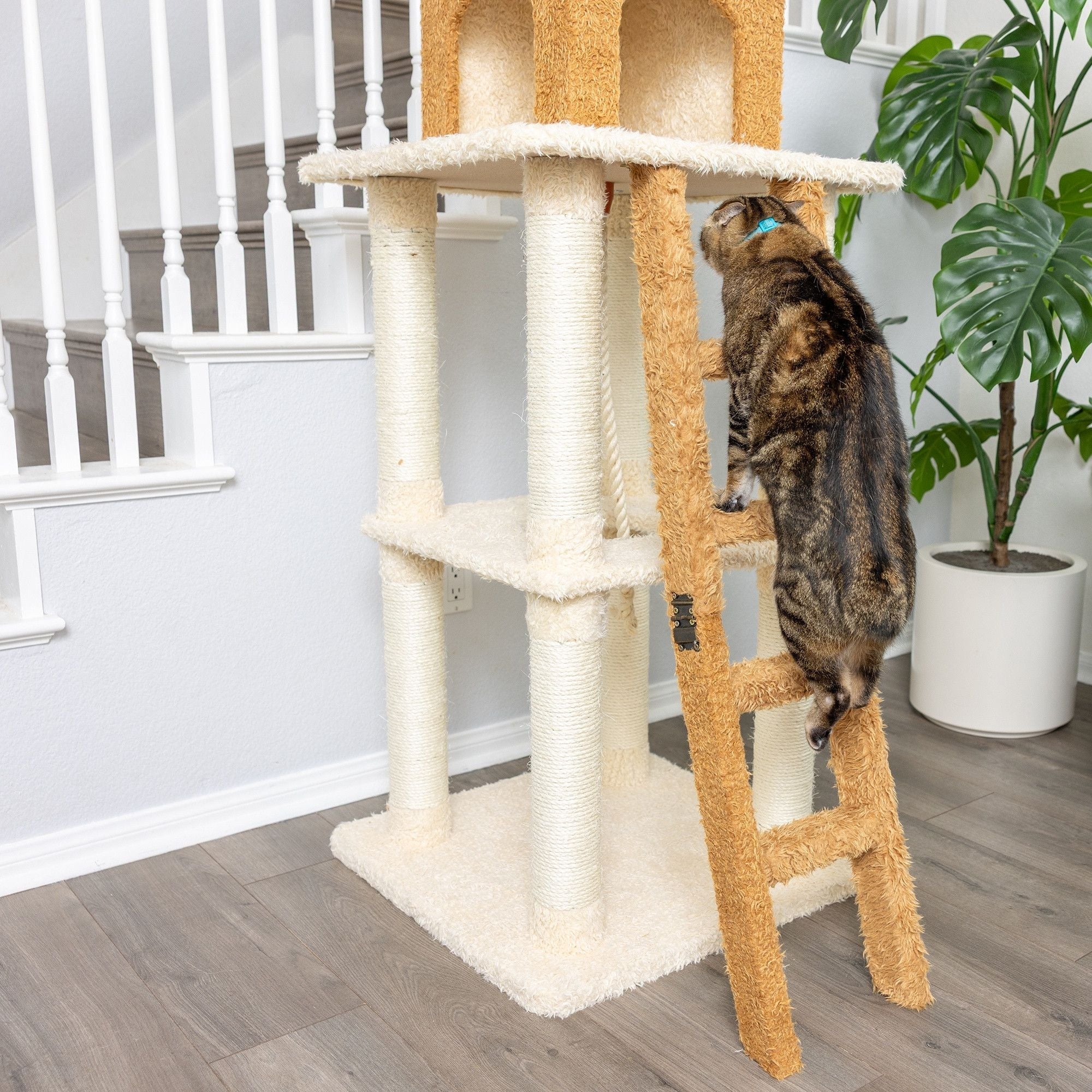 Armarkat Premium Real Wood Cat Tree 84in Beige