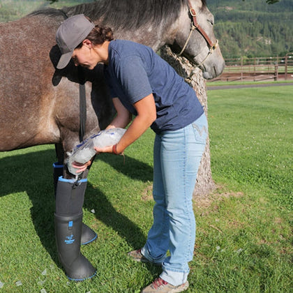 EasyCare Easyboot Ultimate Remedy - Single