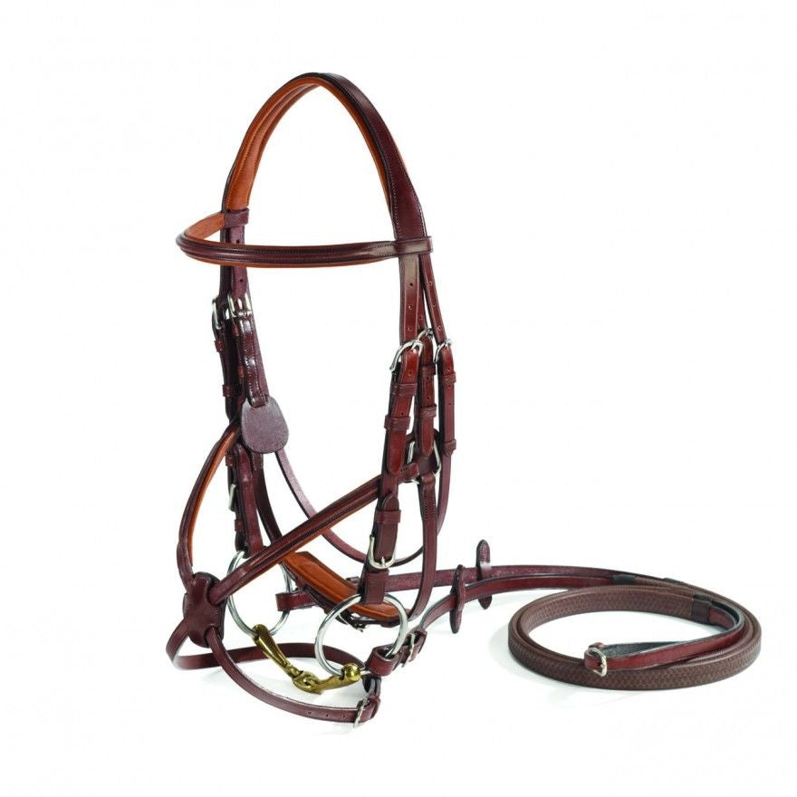 Vespucci Raised Figure 8 Bridle