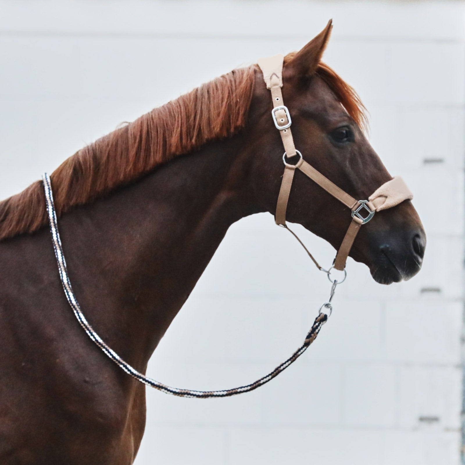 Horze Kiel Halter with Fleece