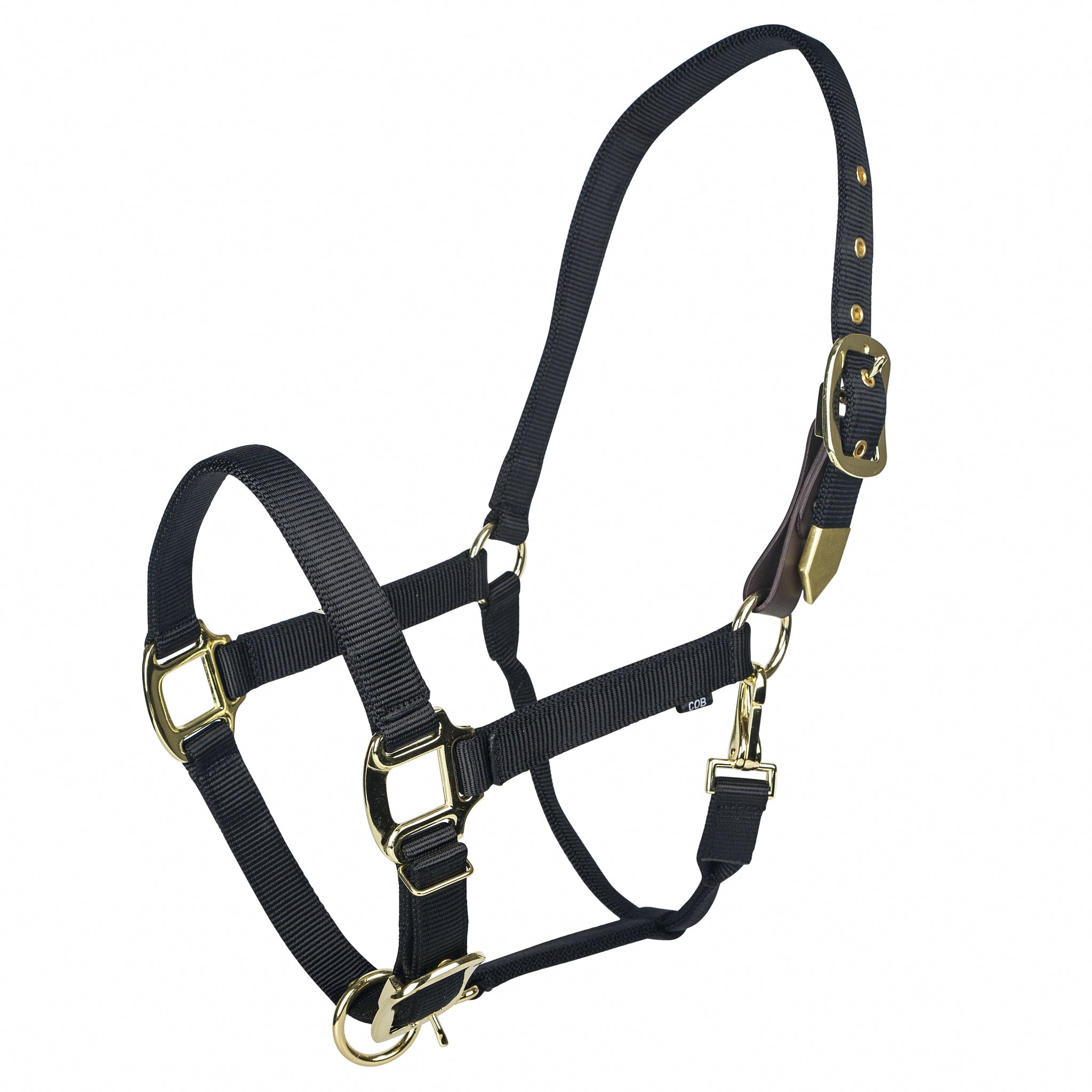 Gatsby Gold Personalized Adjustable Nylon Halter with Snap