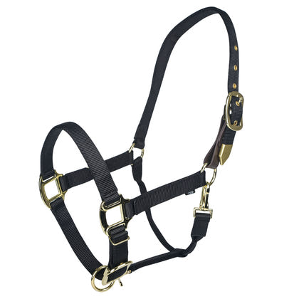 Gatsby Gold Personalized Adjustable Nylon Halter with Snap