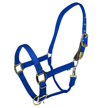 Gatsby Gold Personalized Adjustable Nylon Halter with Snap