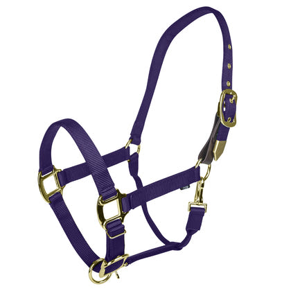 Gatsby Gold Personalized Adjustable Nylon Halter with Snap
