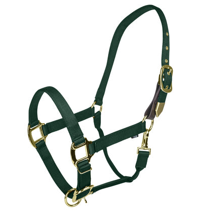 Gatsby Gold Personalized Adjustable Nylon Halter with Snap