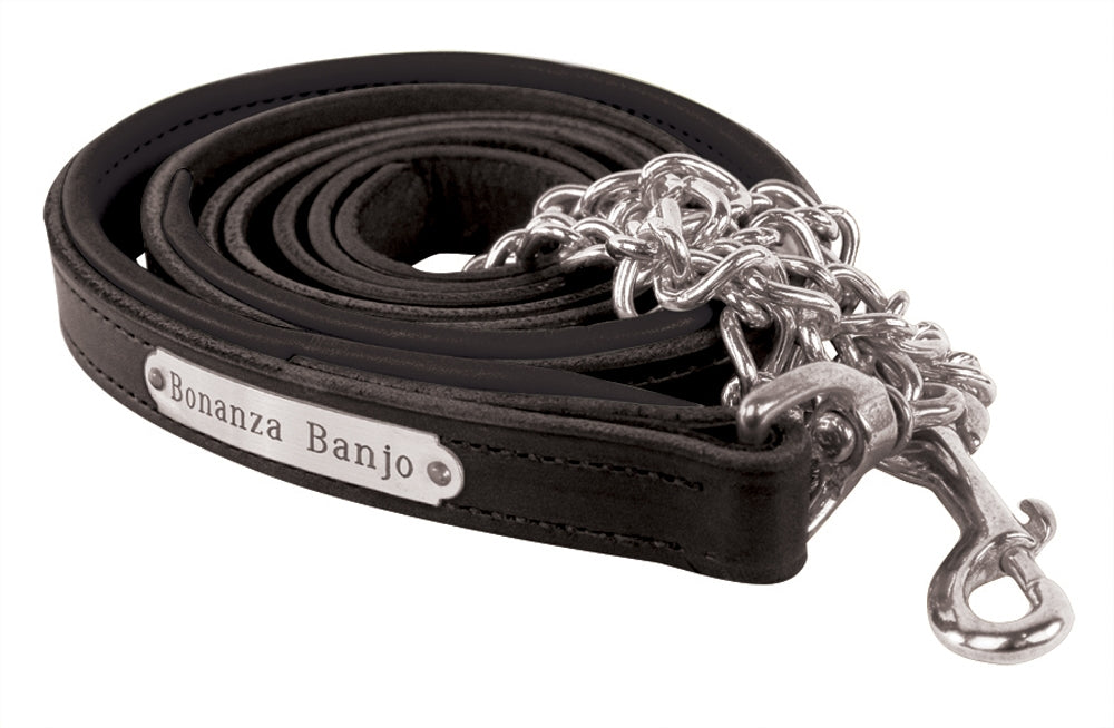 Perri's Personalized Padded Leather Lead with Chain